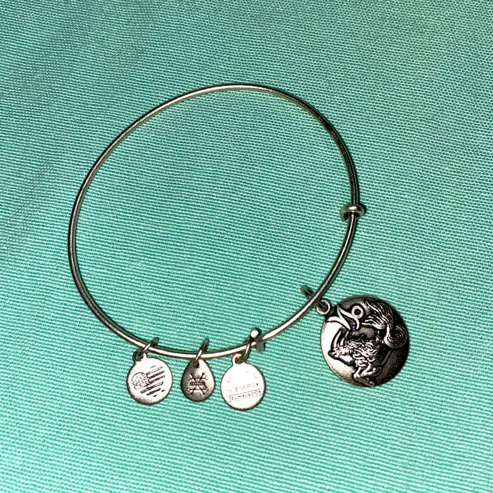 Alex and Ani Capricorn